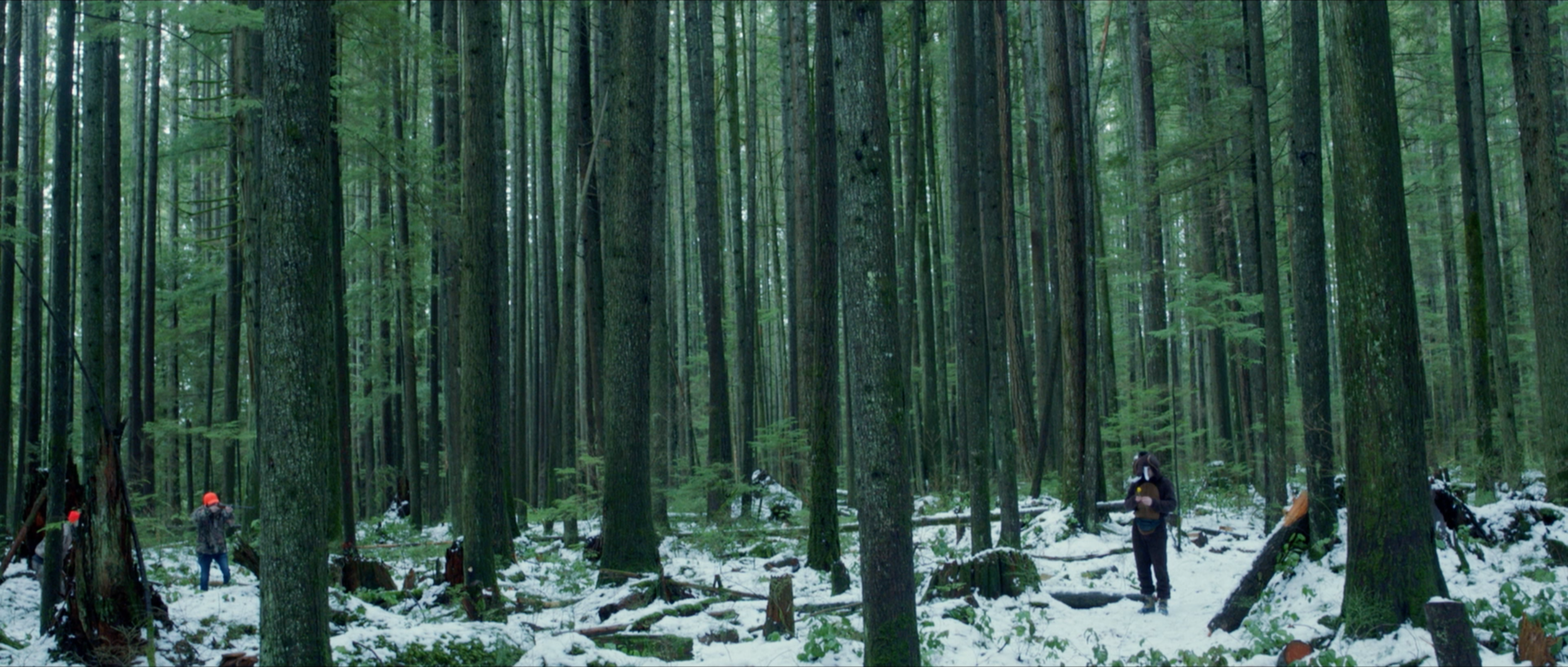 Screen Shot 2020-08-24 at 2.24.13 PM.png