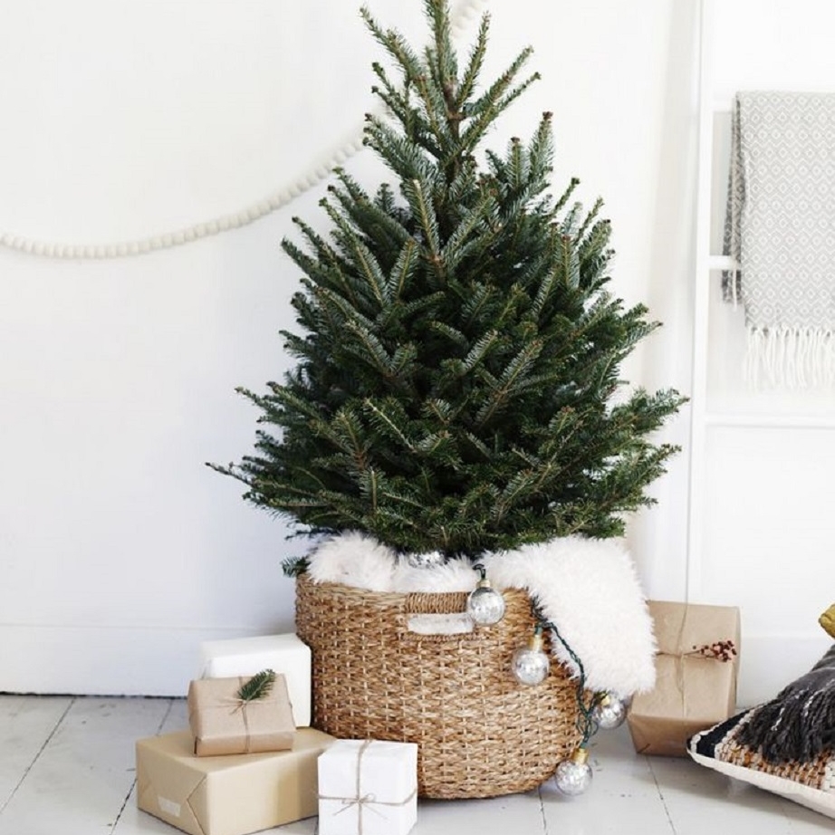 A Holiday Gift Guide for Everyone’s Hair