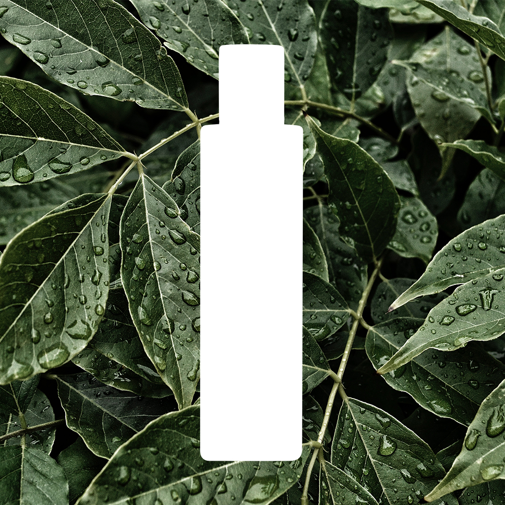 New Packaging, Who Dis?