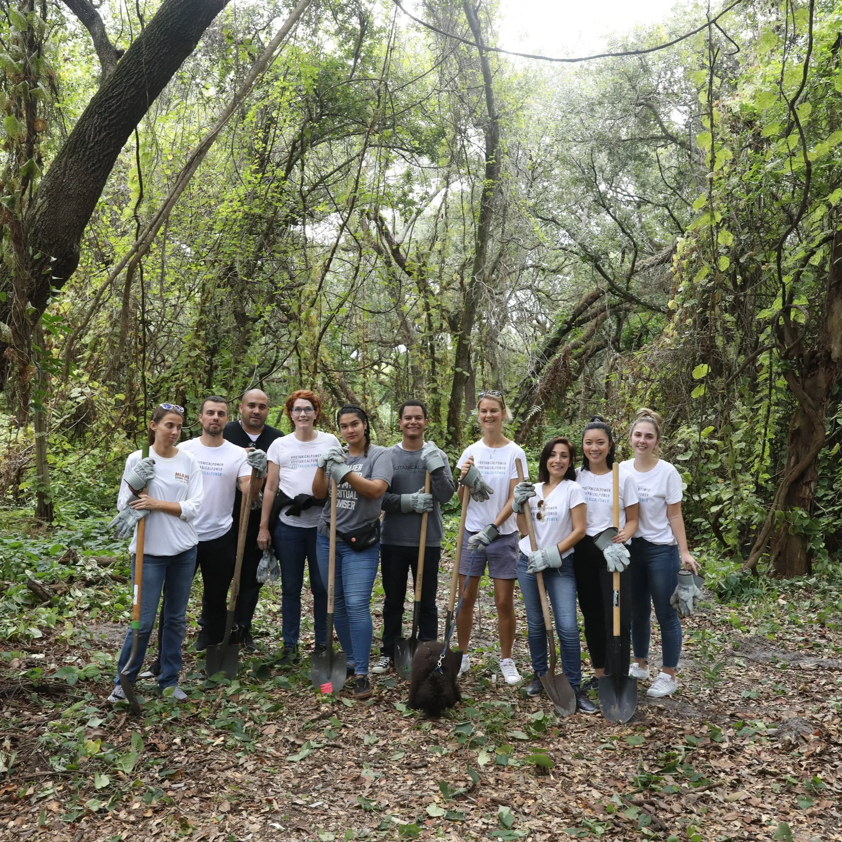 The PHYTO Team Haircare Routine