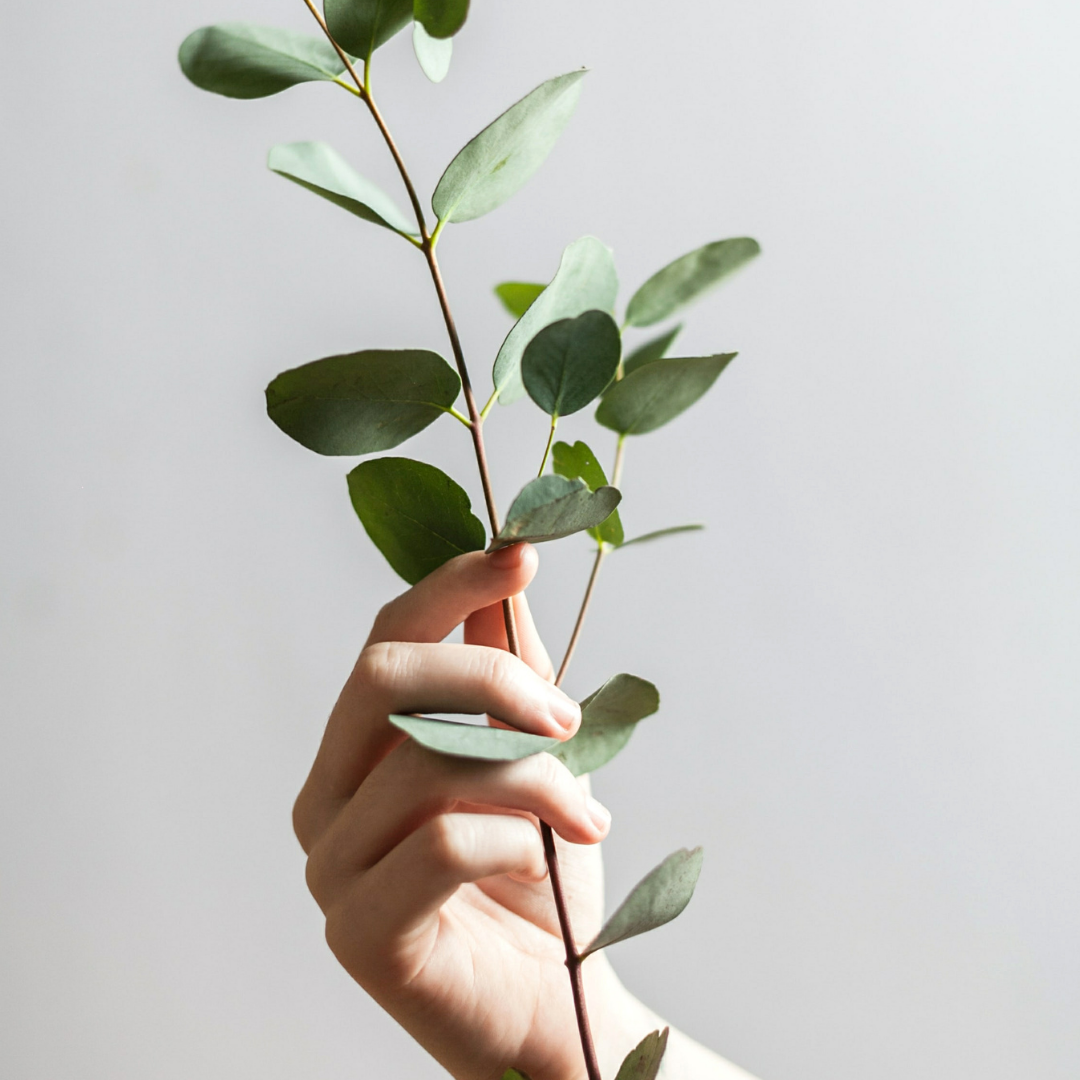 Happy Earth Day from PHYTO!