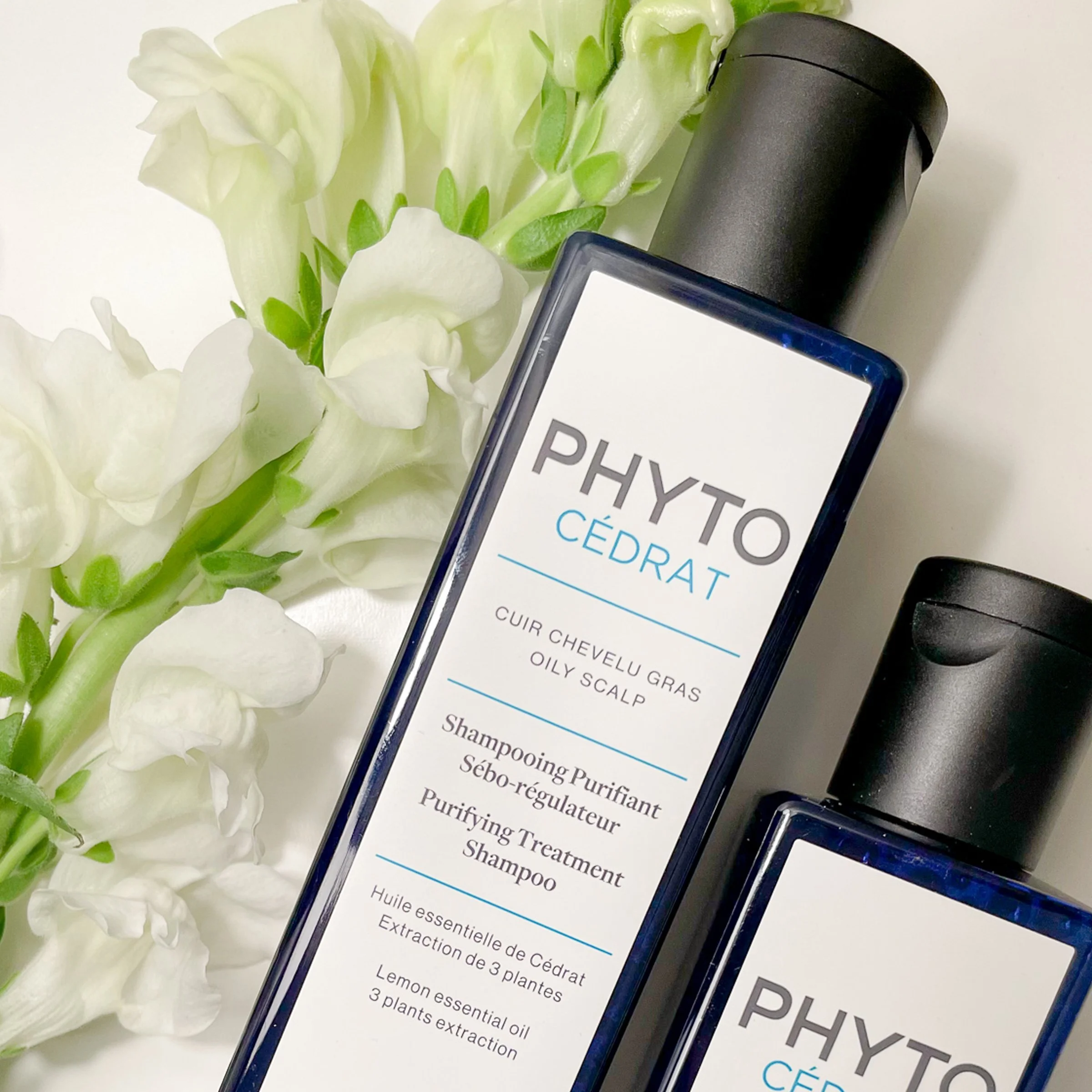 The Best Shampoo for Your Sensitive Scalp