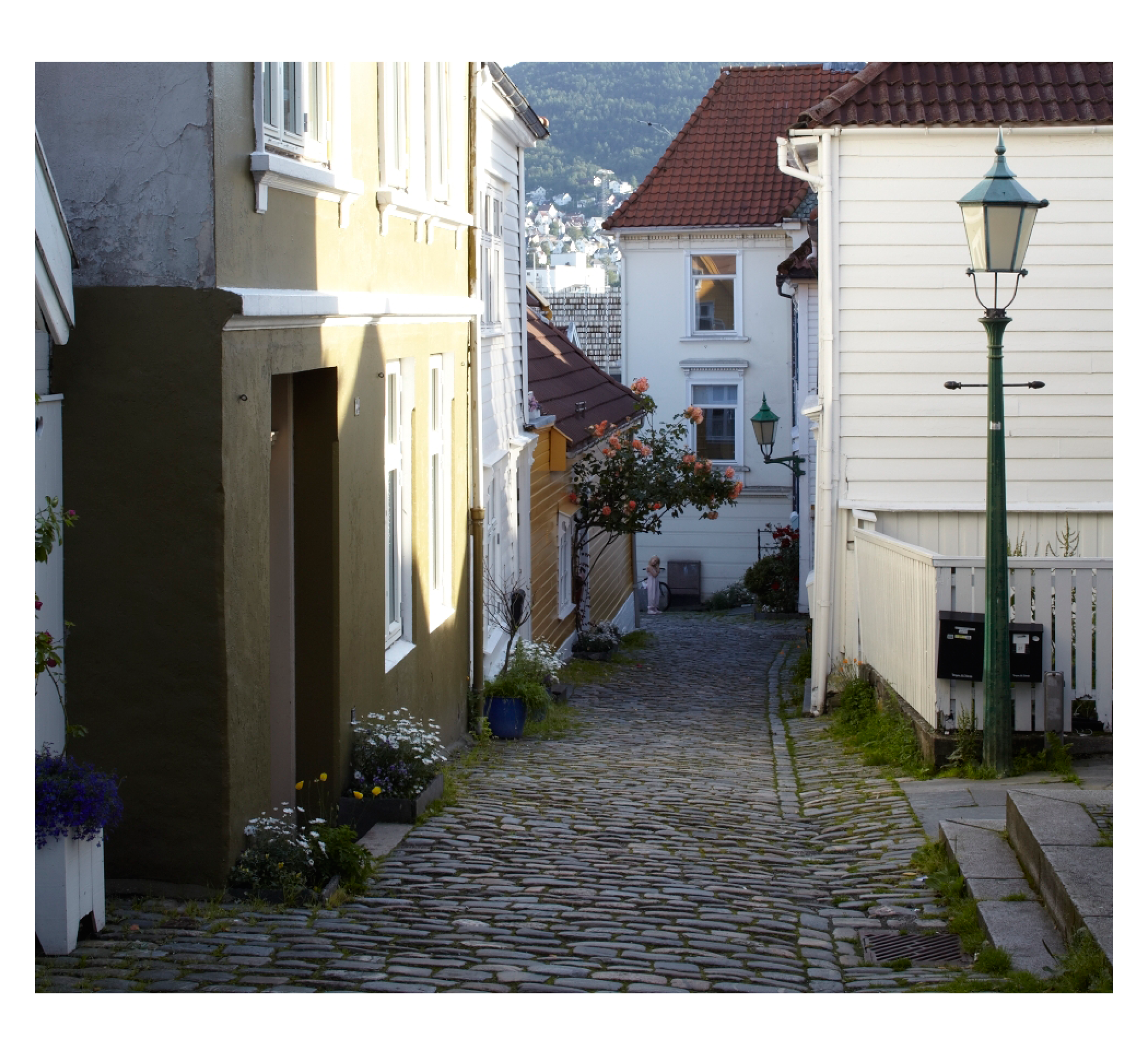 centurion.5_17_18 .png