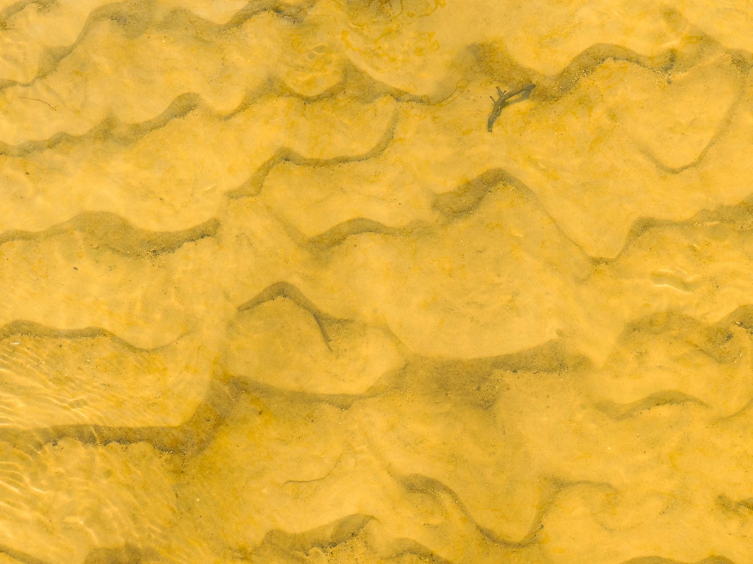 Golden Waves