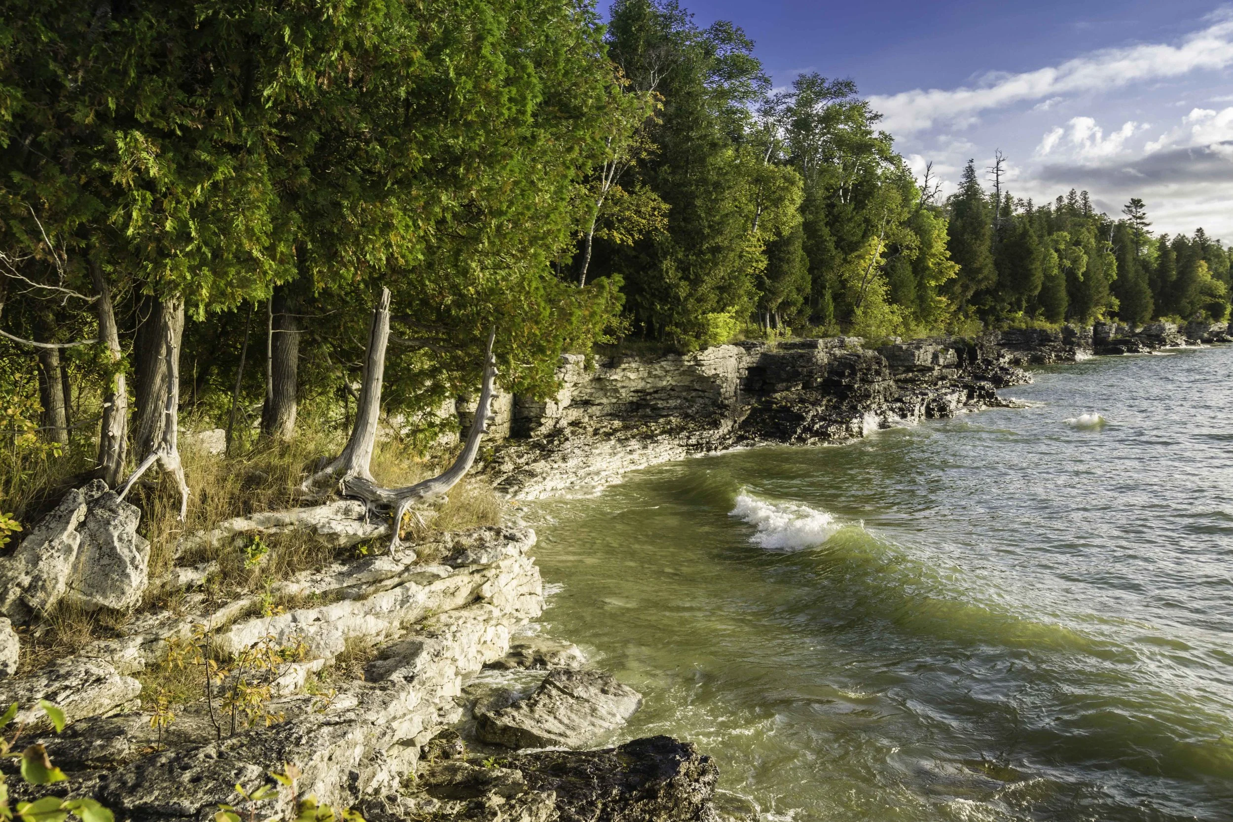 Shoreline