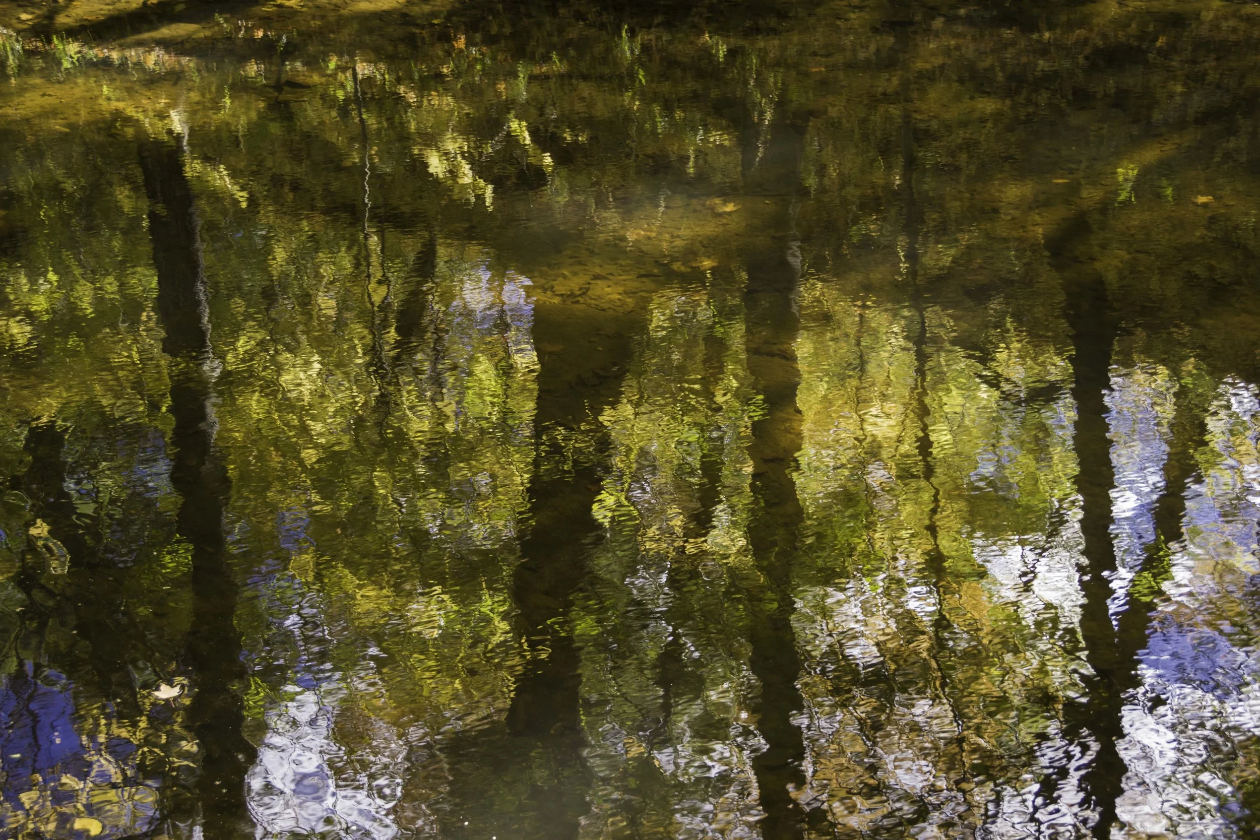 Autumn Reflection I