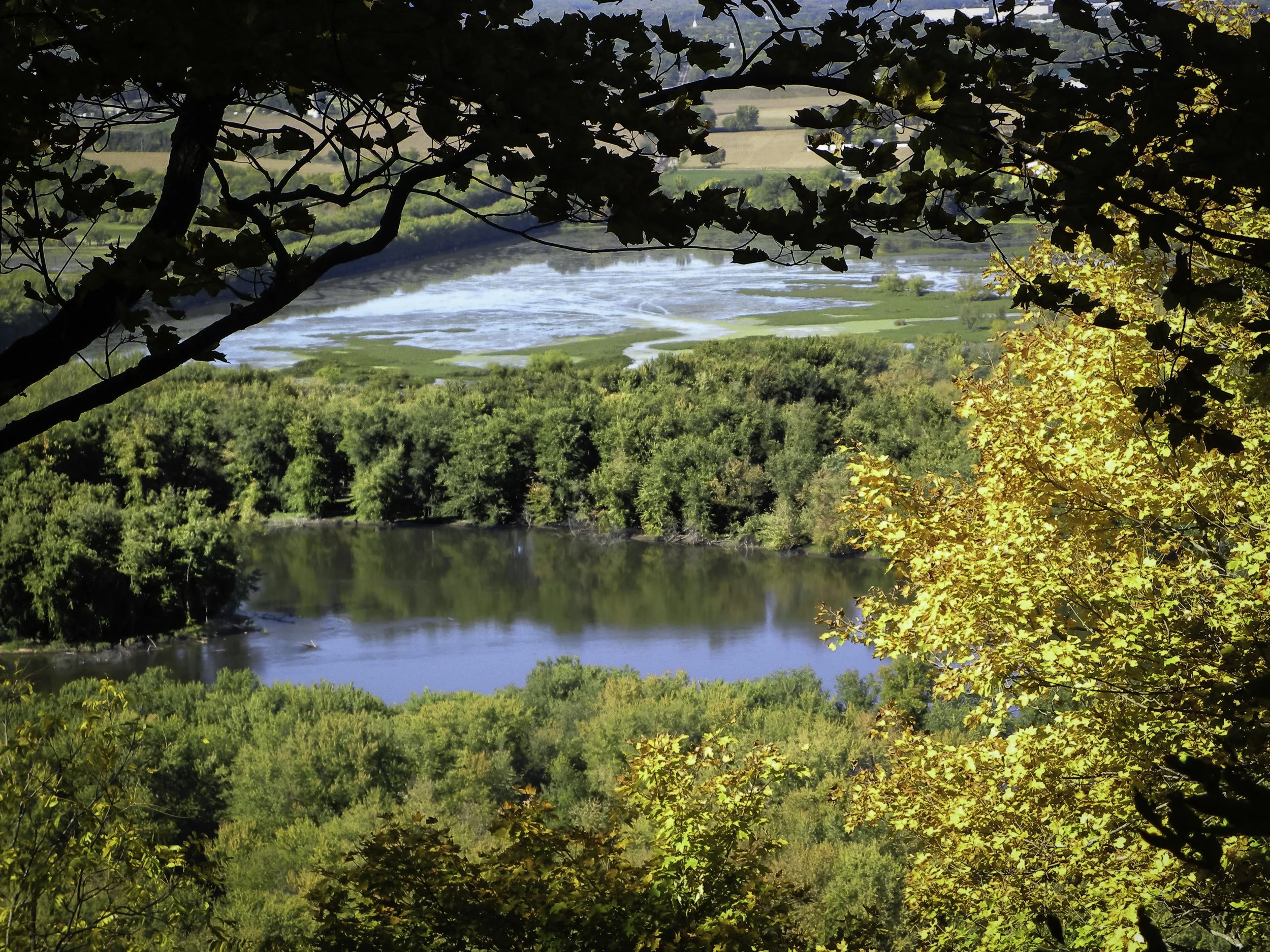 Wyalusing