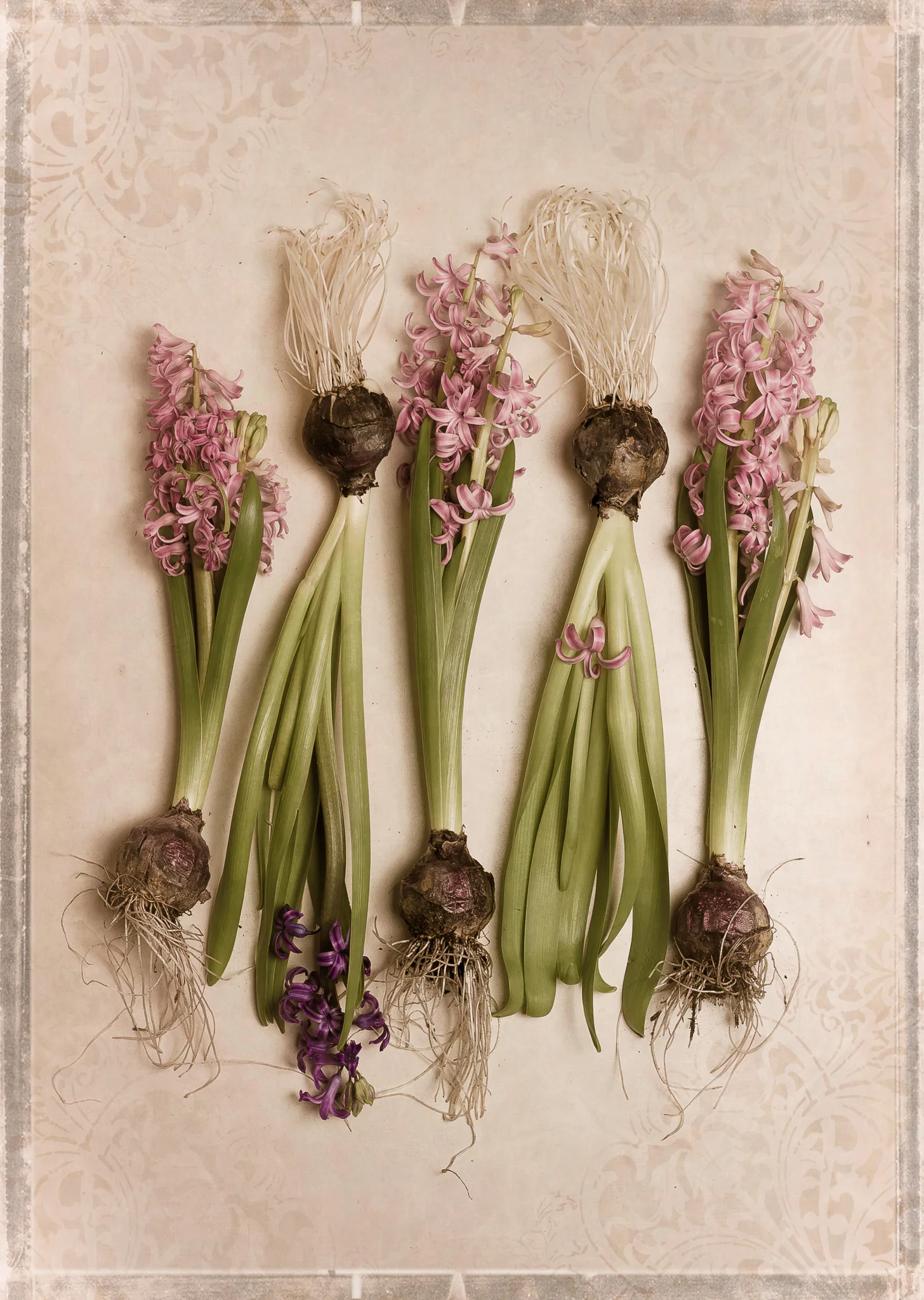 Botanical I-2.jpg
