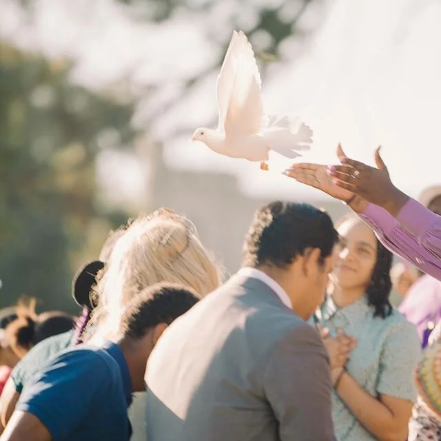 Thank you to every person in our community that donated, posted our fundraiser, served for the celebration of baby T. It was a complete honor to give our bodega baby the magical send off every child deserves. When we first laid eyes on her it was love at first site, we meant it, when we said you would always have and we will make a way for you. Thank you for choosing us, you brought our community more healing than this world could.