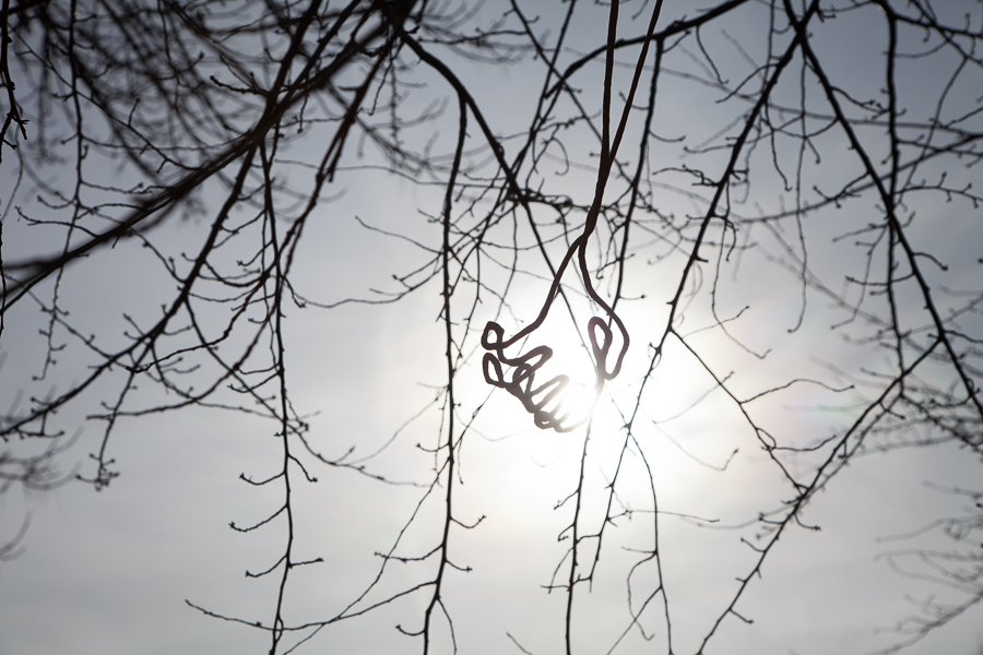  Anne McKeown installation for Cherry Blossoms in Winter
