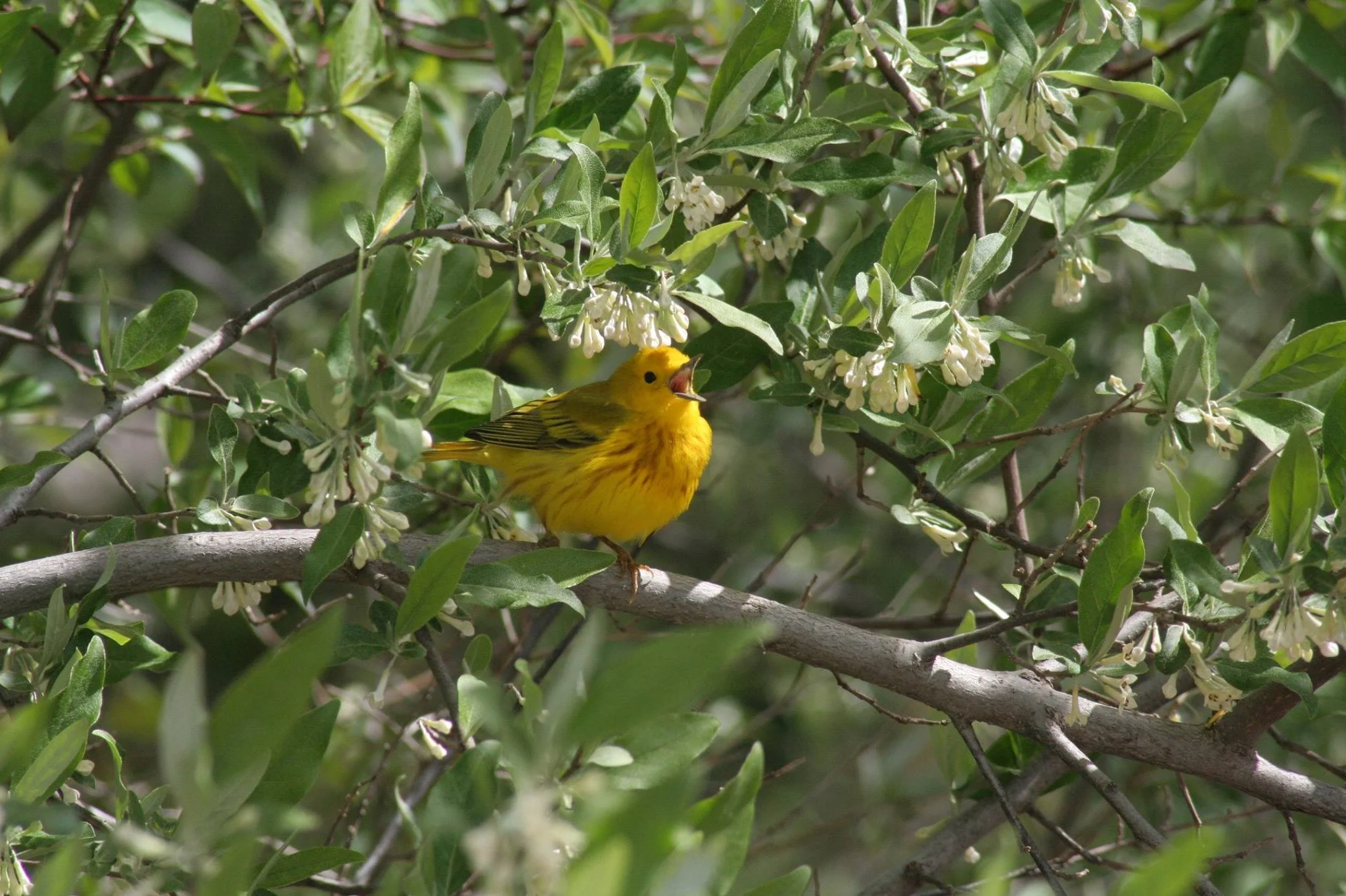 Field Trip to Oakes Quarry Park