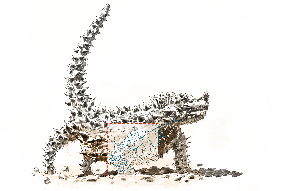 Illustration: Ronny Träger