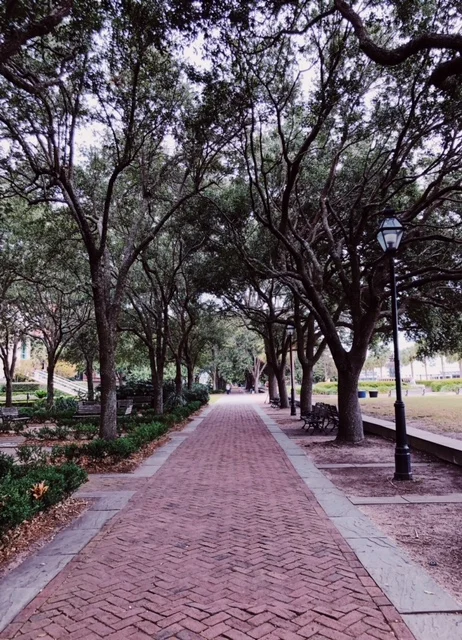 3D93B7A8-7CA7-4E9A-B89A-DDB9B7EB392B copy.jpg