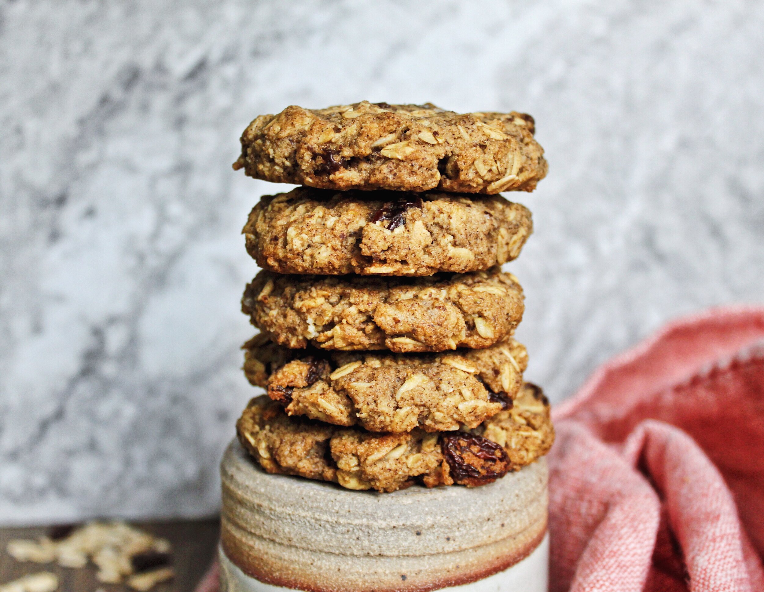 oatmeal cookie horiz1.jpg