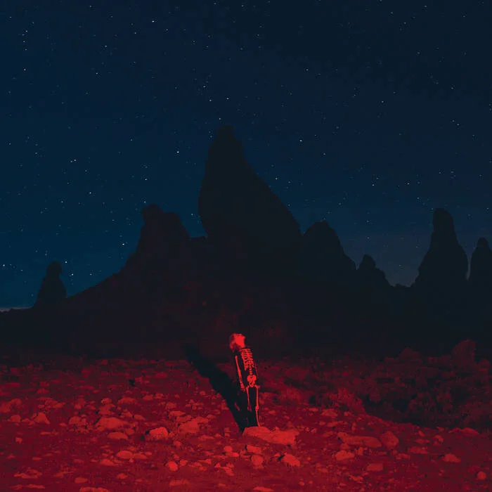 Phoebe Bridgers  Punisher, 2020 trumpet, horn arrangements