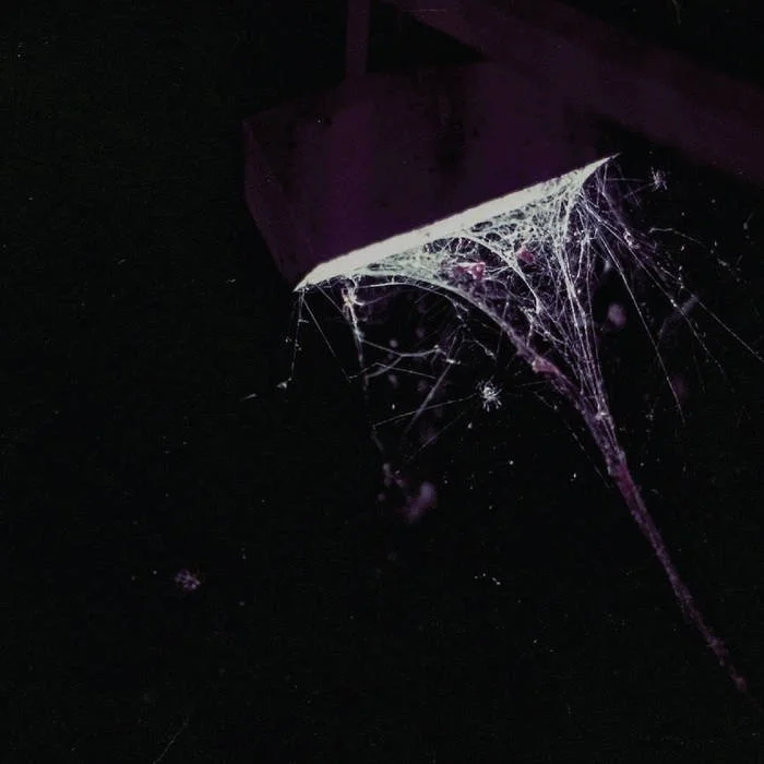 Pluralone  Across The Park, 2021 string arrangements