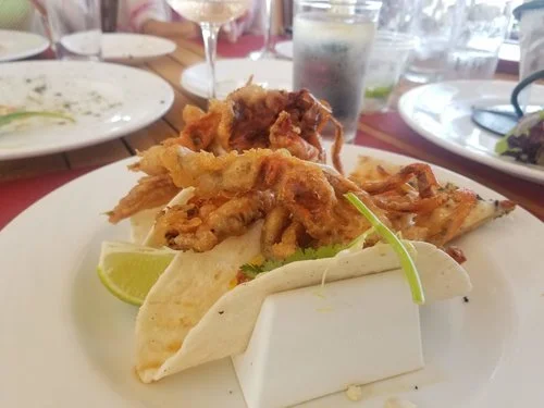 soft shell crab on travel.jpg