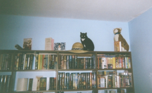 3088_003.jpg