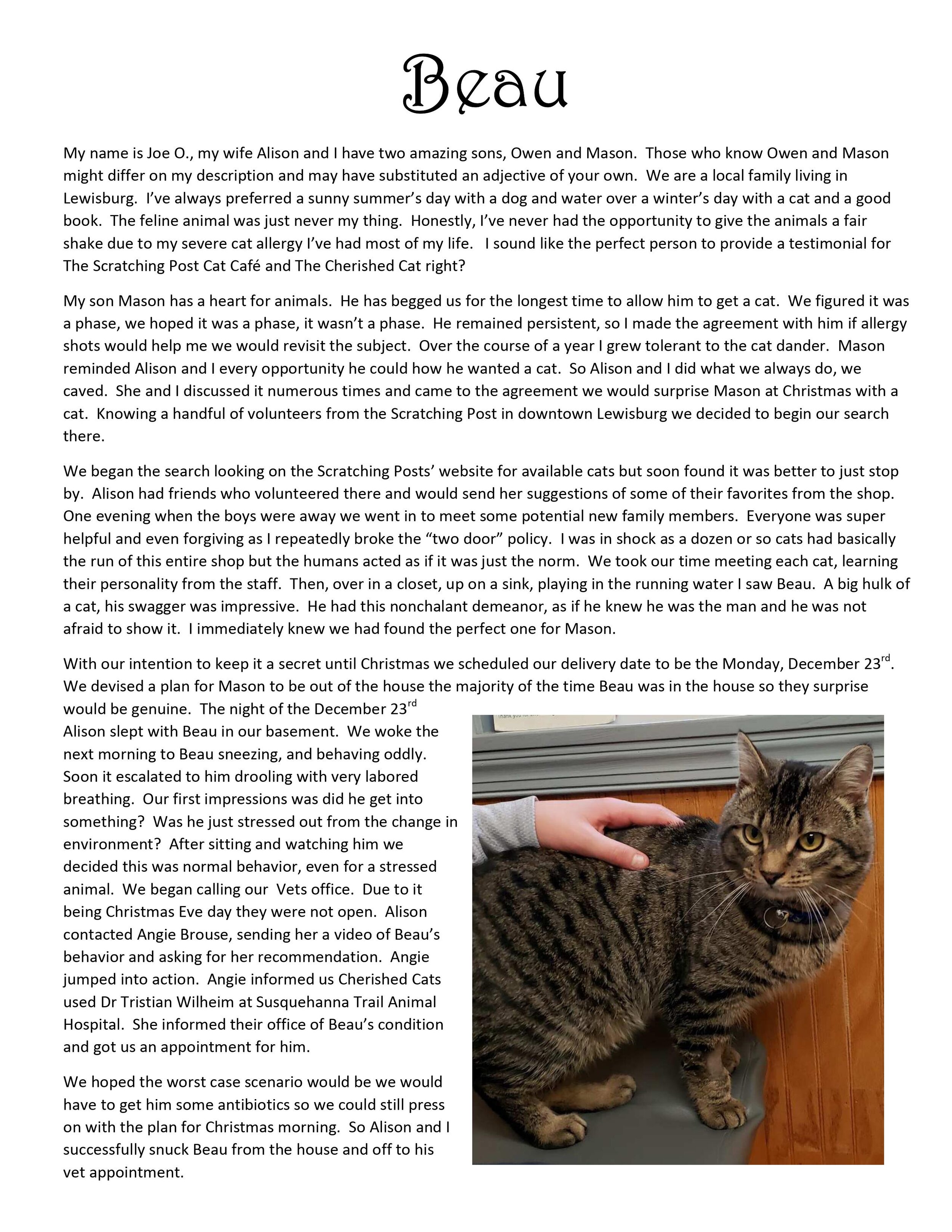 cherished cats rescue alliance