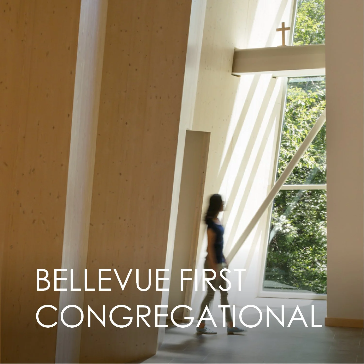 thumbnails with titles3.jpg