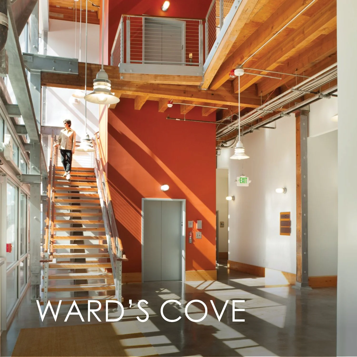 thumbnails with titles9.jpg