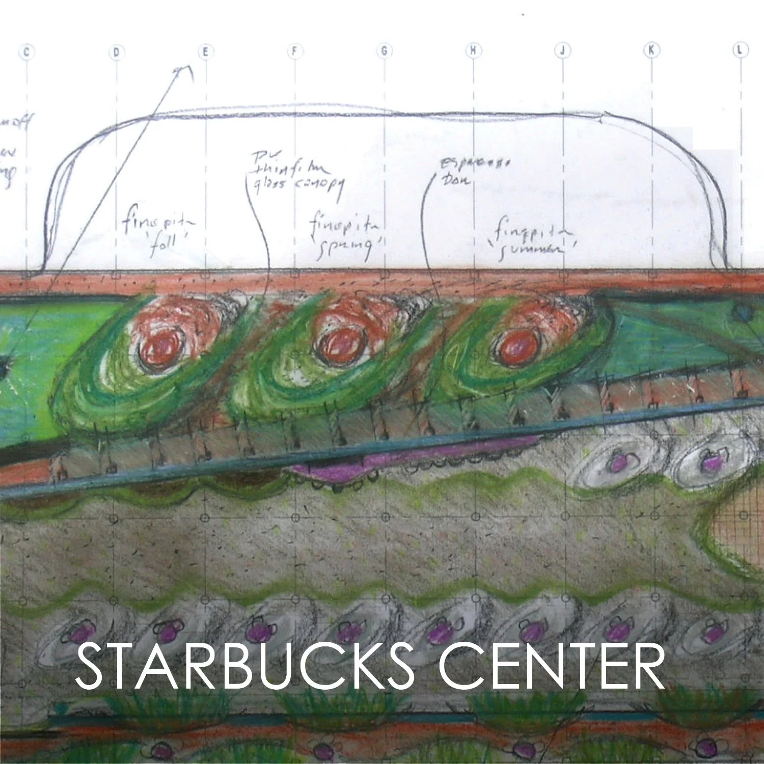 thumbnails with titles24.jpg