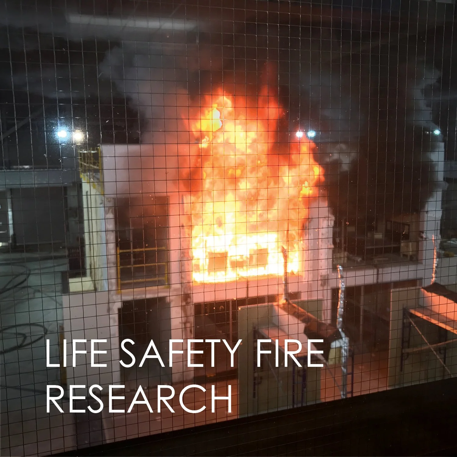 thumbnails with titles38.jpg