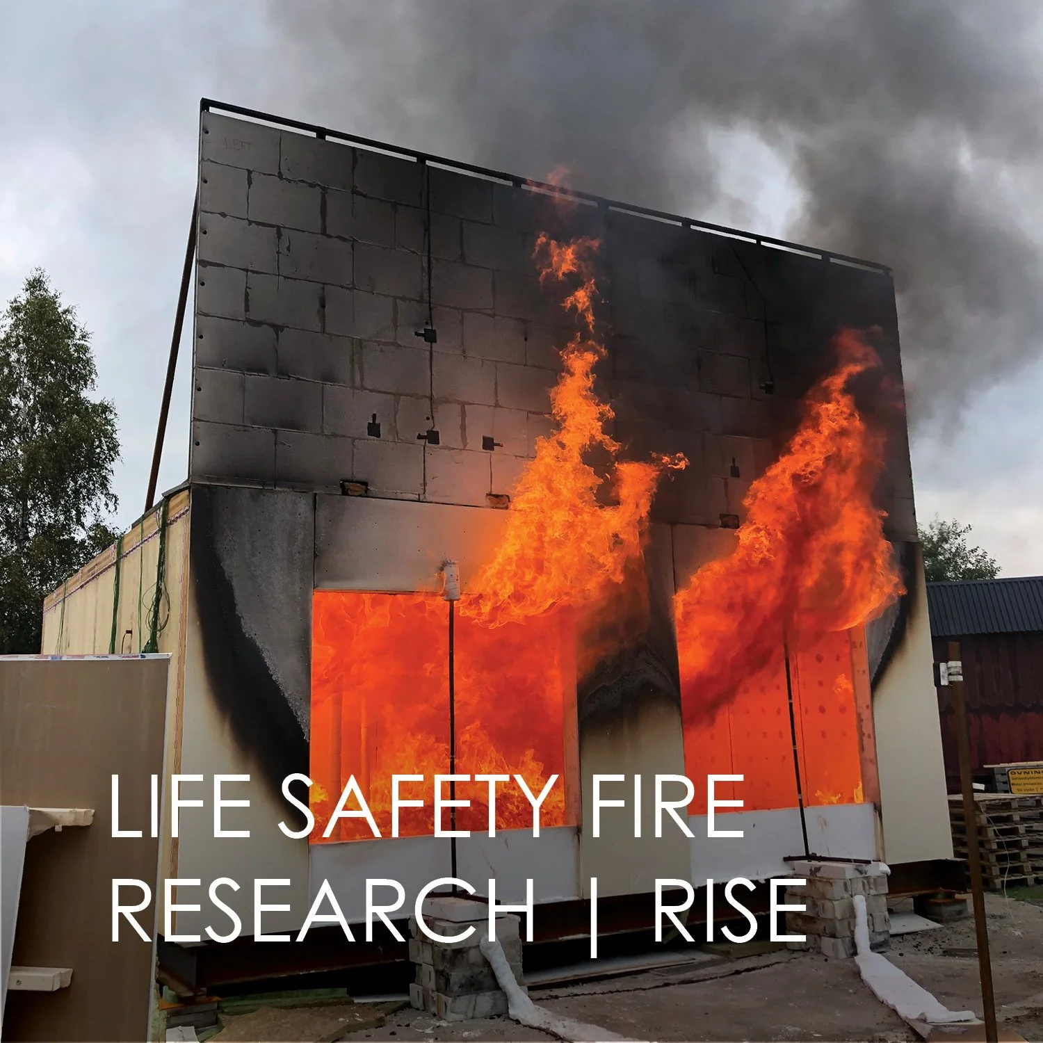 thumbnails with titles39.jpg