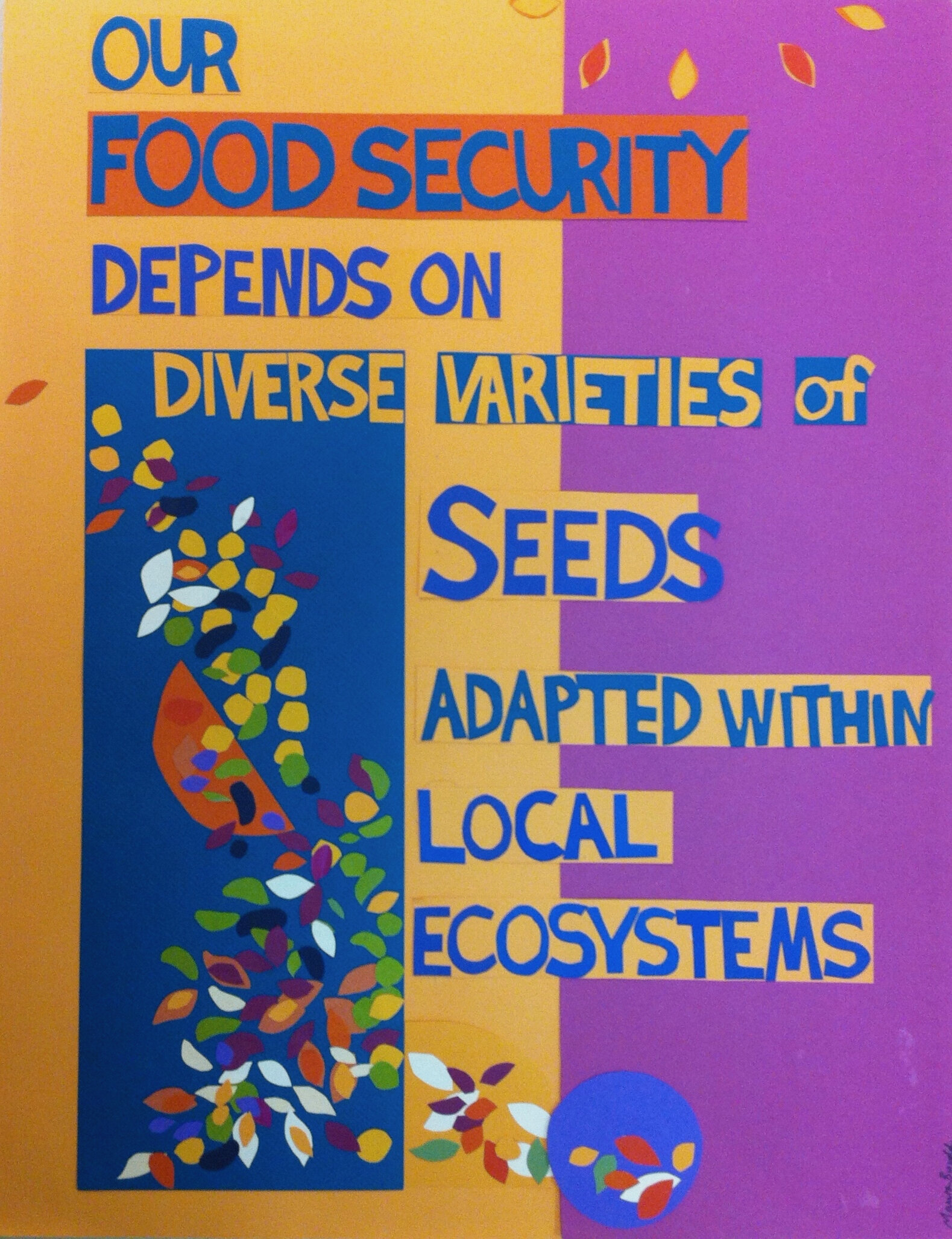 Seed Diversity copy.jpg