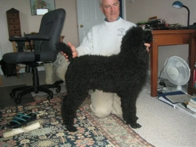 Leeward’s Charlot (Charlot) at 6 months.