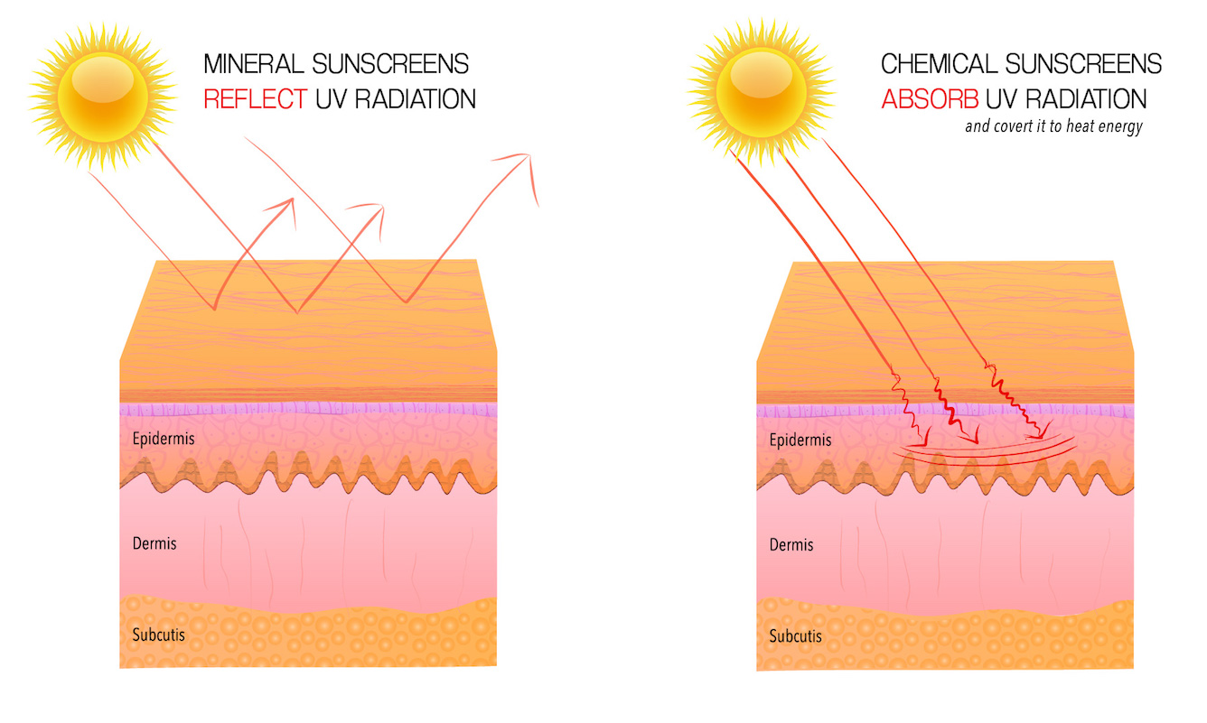 Differences between Chemical and Mineral sunscreens | Harken Derm