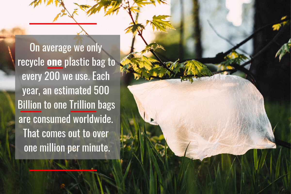 On average we only recycle one plastic bag to every 200we use. Each year, an estimated500 Billion to one trillion bags are consumed worldwide. that comes out to one million per minute.png