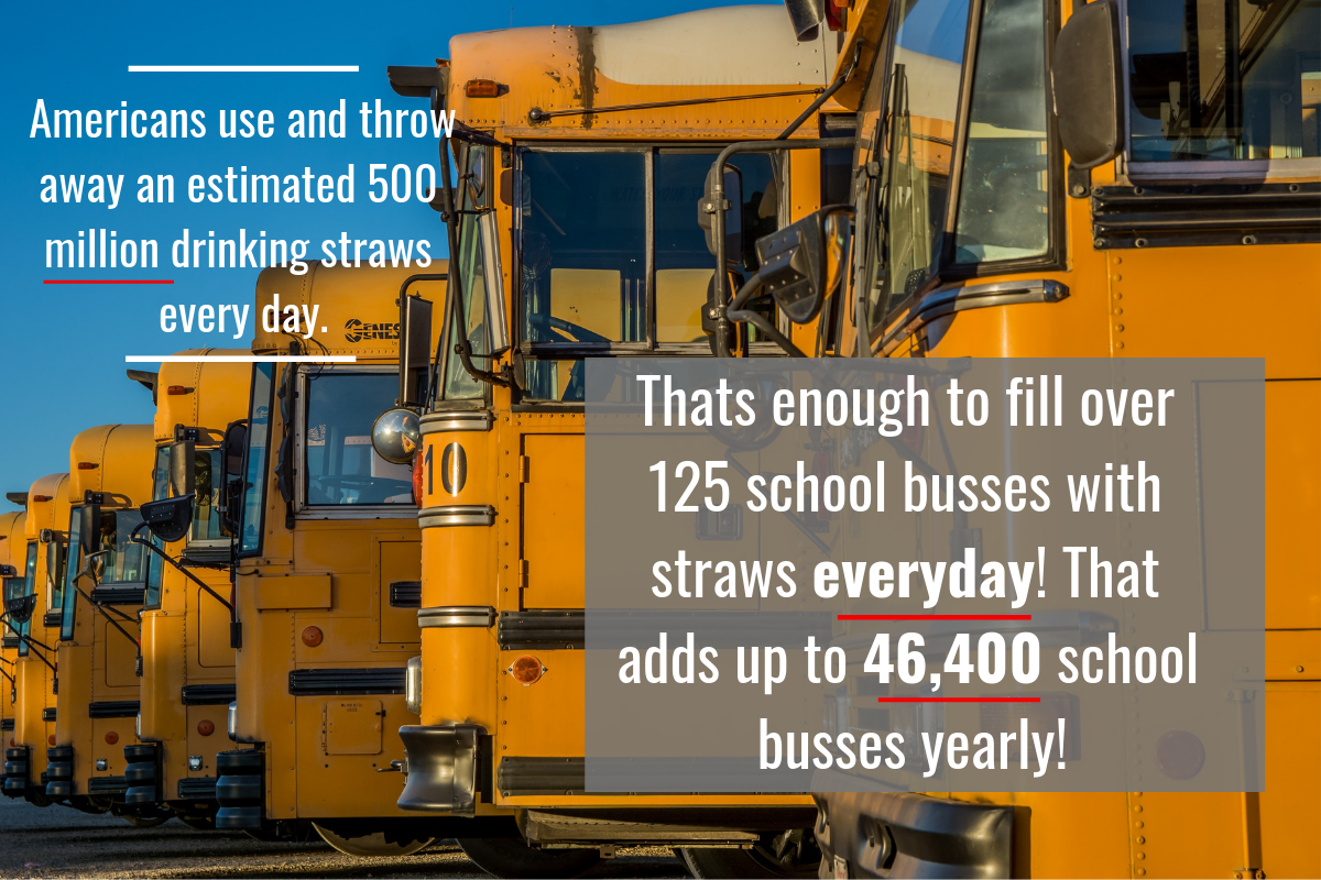 Americans use and throw away an estimated 500 million drinking straws every day..png