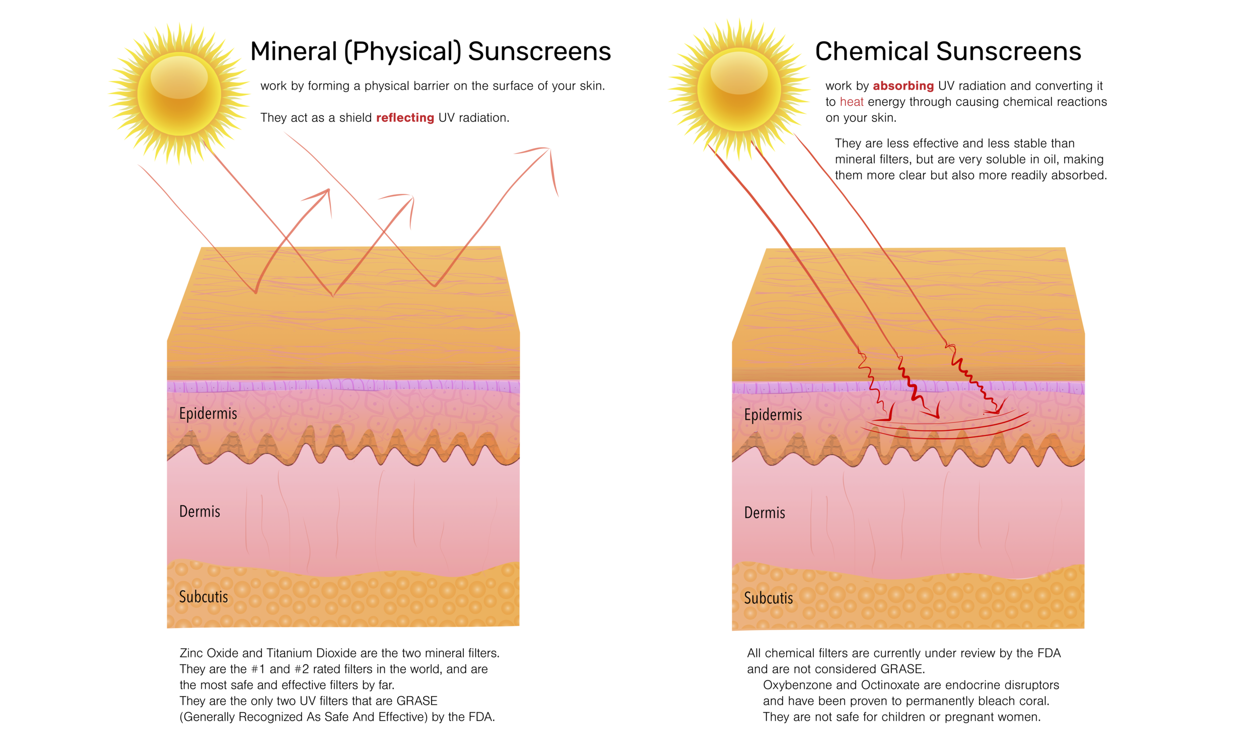 harken-derm-mineral-vs-chemical-sunscreens-diagram-explanation.png