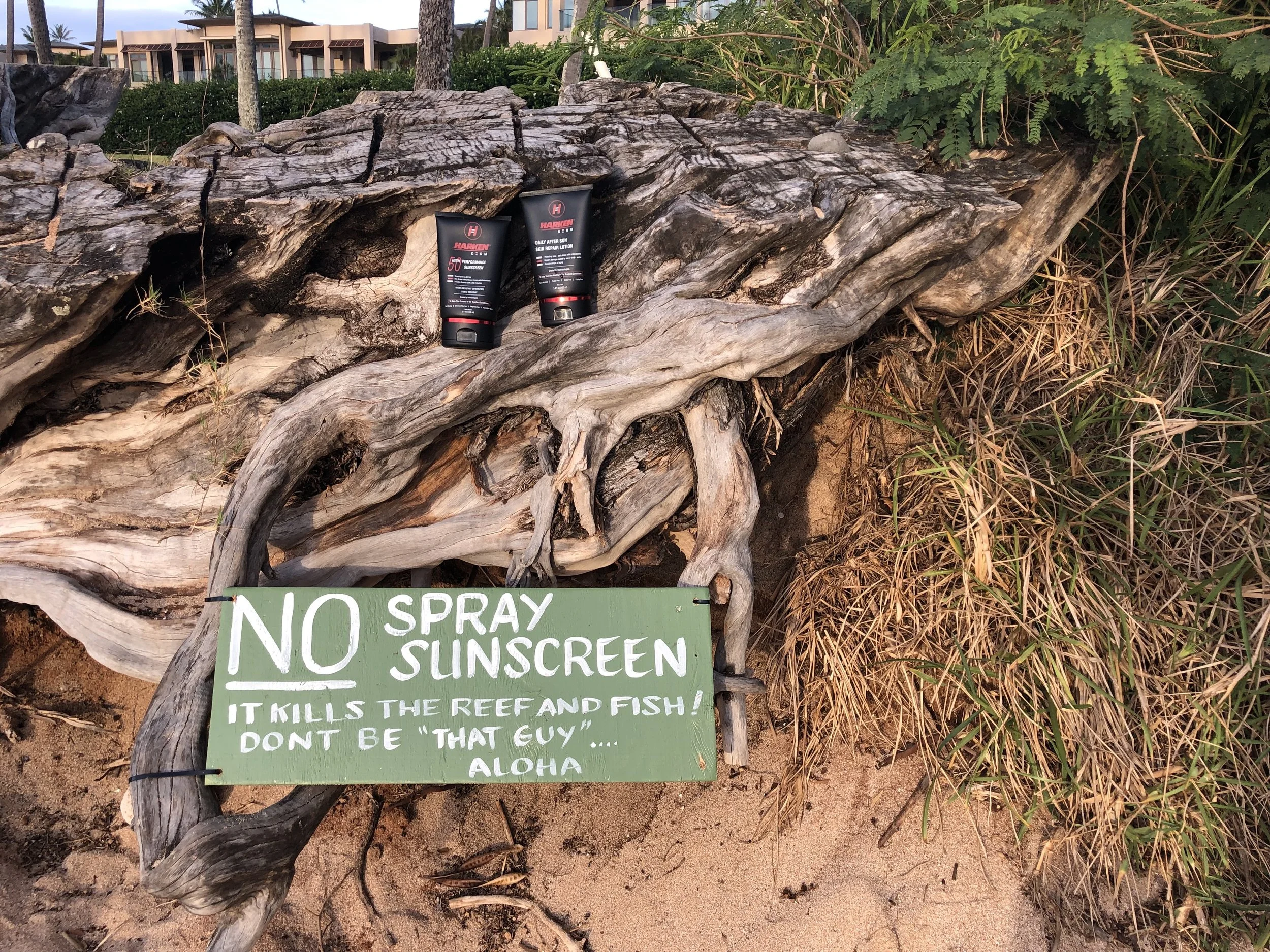 harken-derm-photo-maui-sunscreen-ban-oxybenzone-spray-safe-sunscreen-kapalua-bay-maui-04-26-2019.jpg