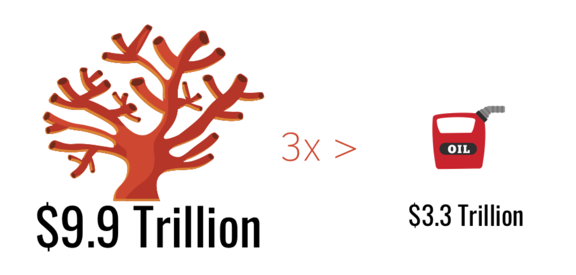 Save the Corals Harken Derm