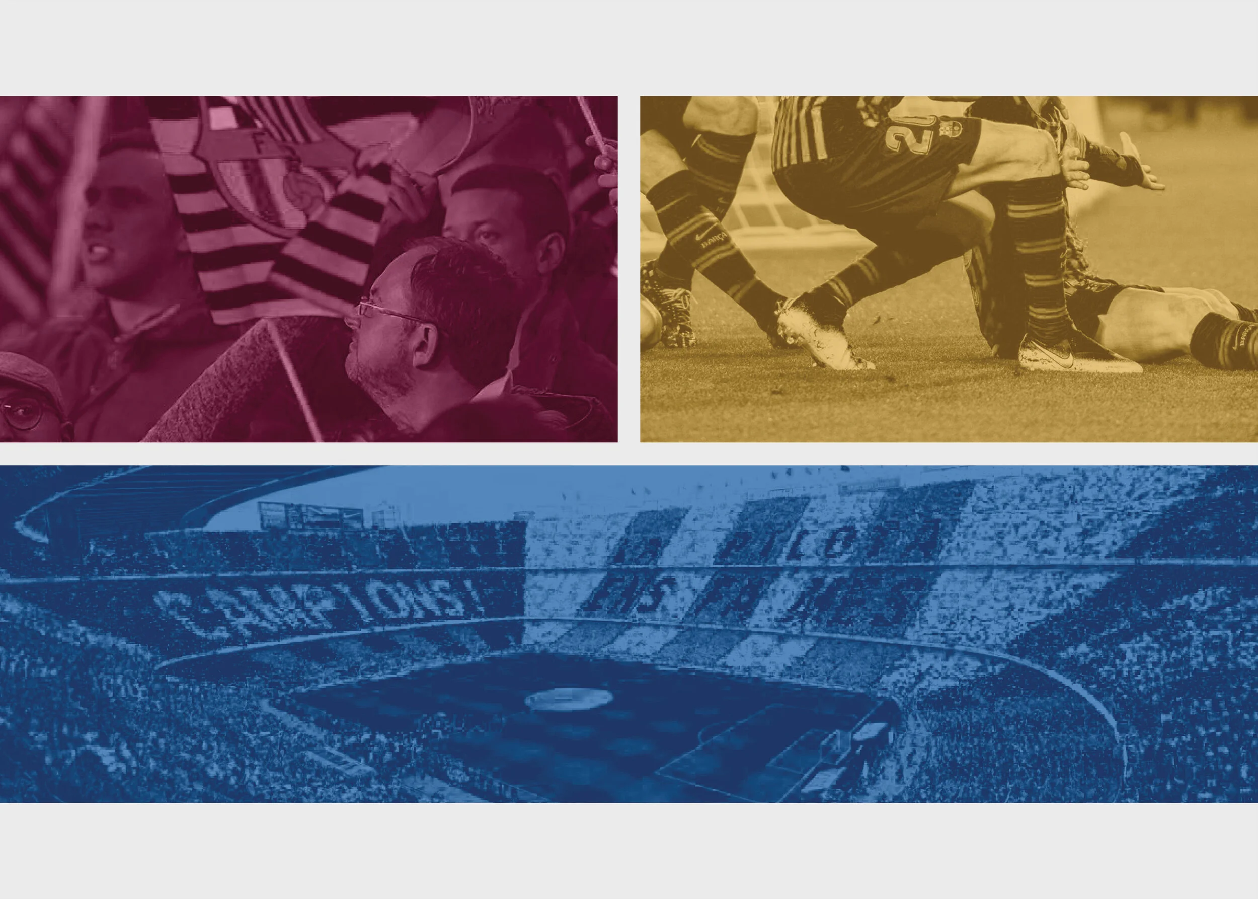 image palette 3.jpg