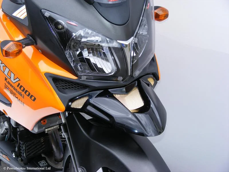 klv1000beak3.jpg