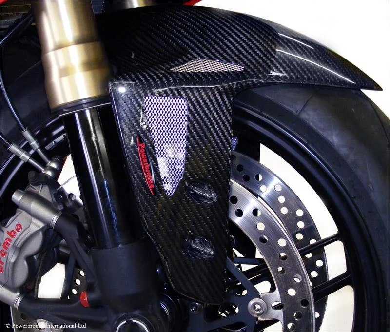 1199-panigale-cf-front-mudguardjpg.jpg