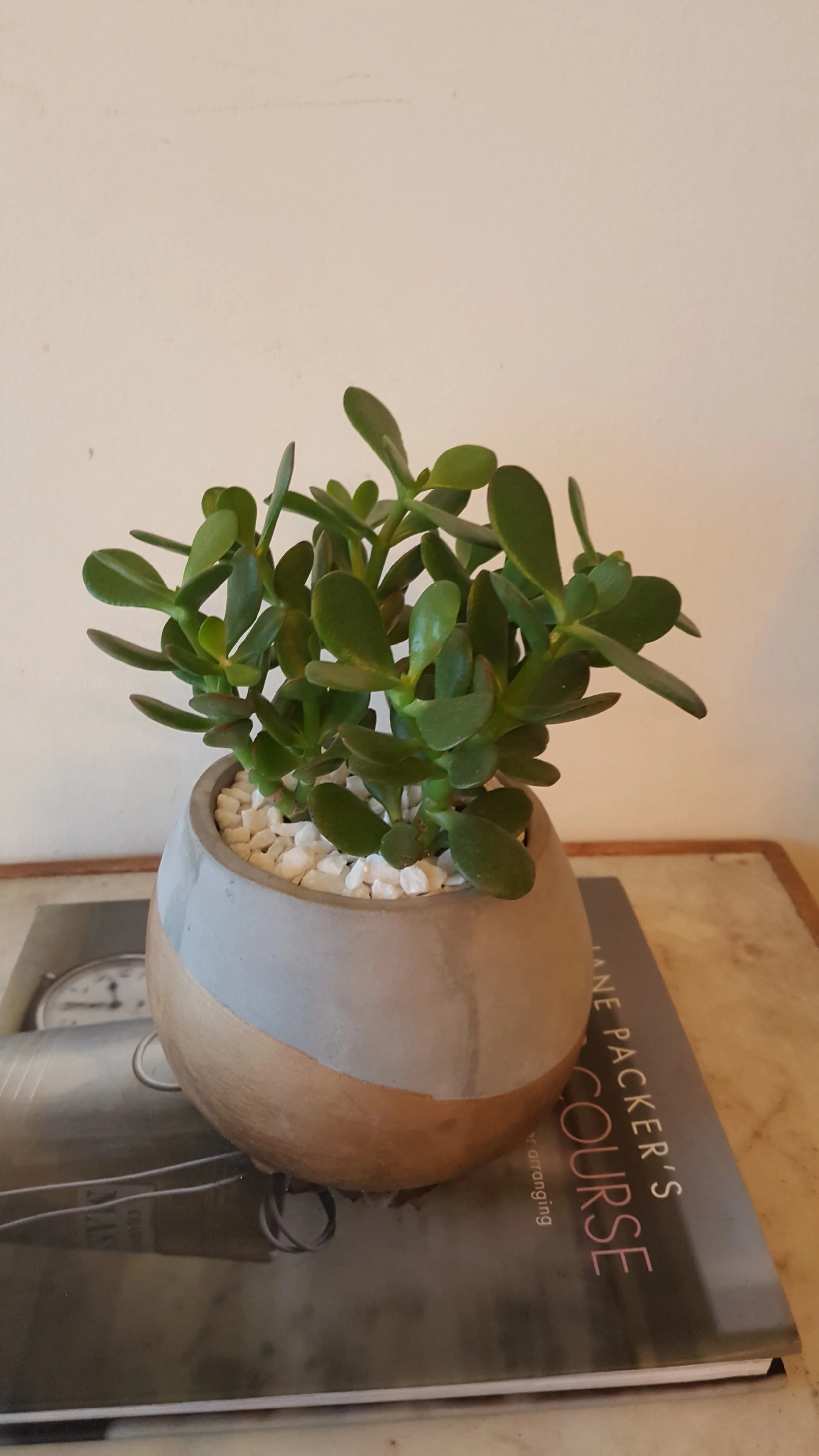 20171220_162051.jpg
