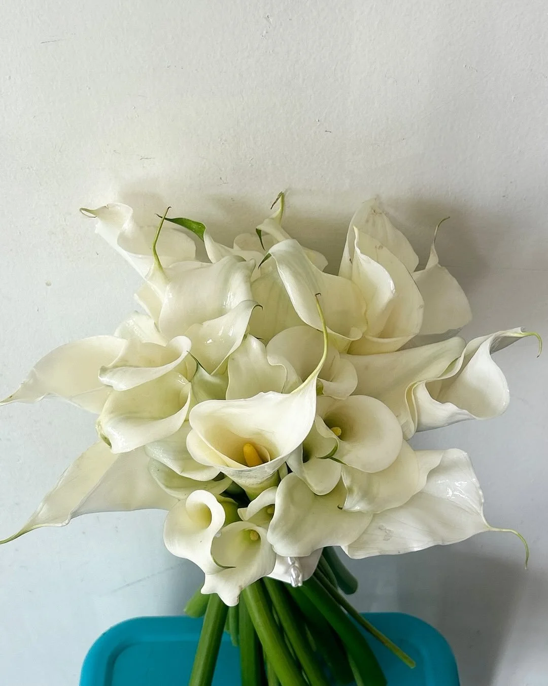 Calla Lily bouquet 💐 

.
.
#sweetbloomsatelier#flowers#bouquet #floral #weddingflowers #weddingflorist #hermosabeach #manhattanbeach #redondobeach