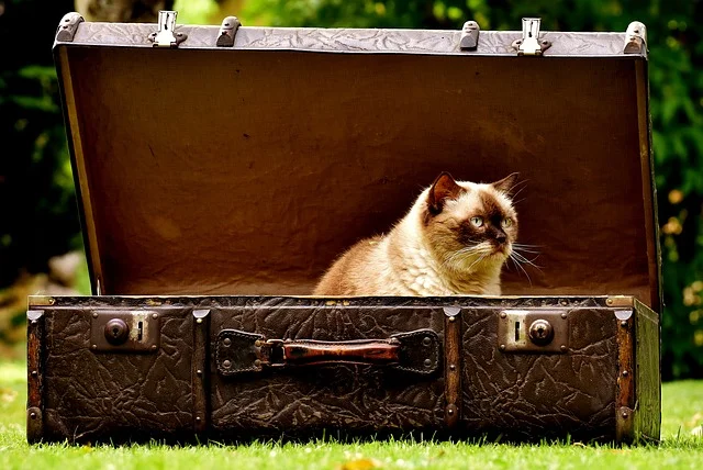 luggage-2442126_640.jpg