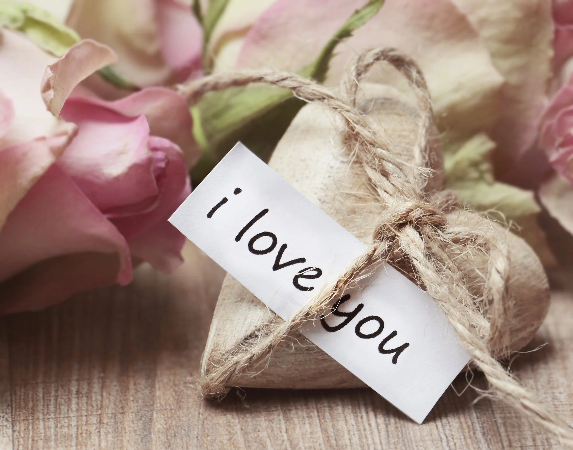 roses-2840765_1920.jpg