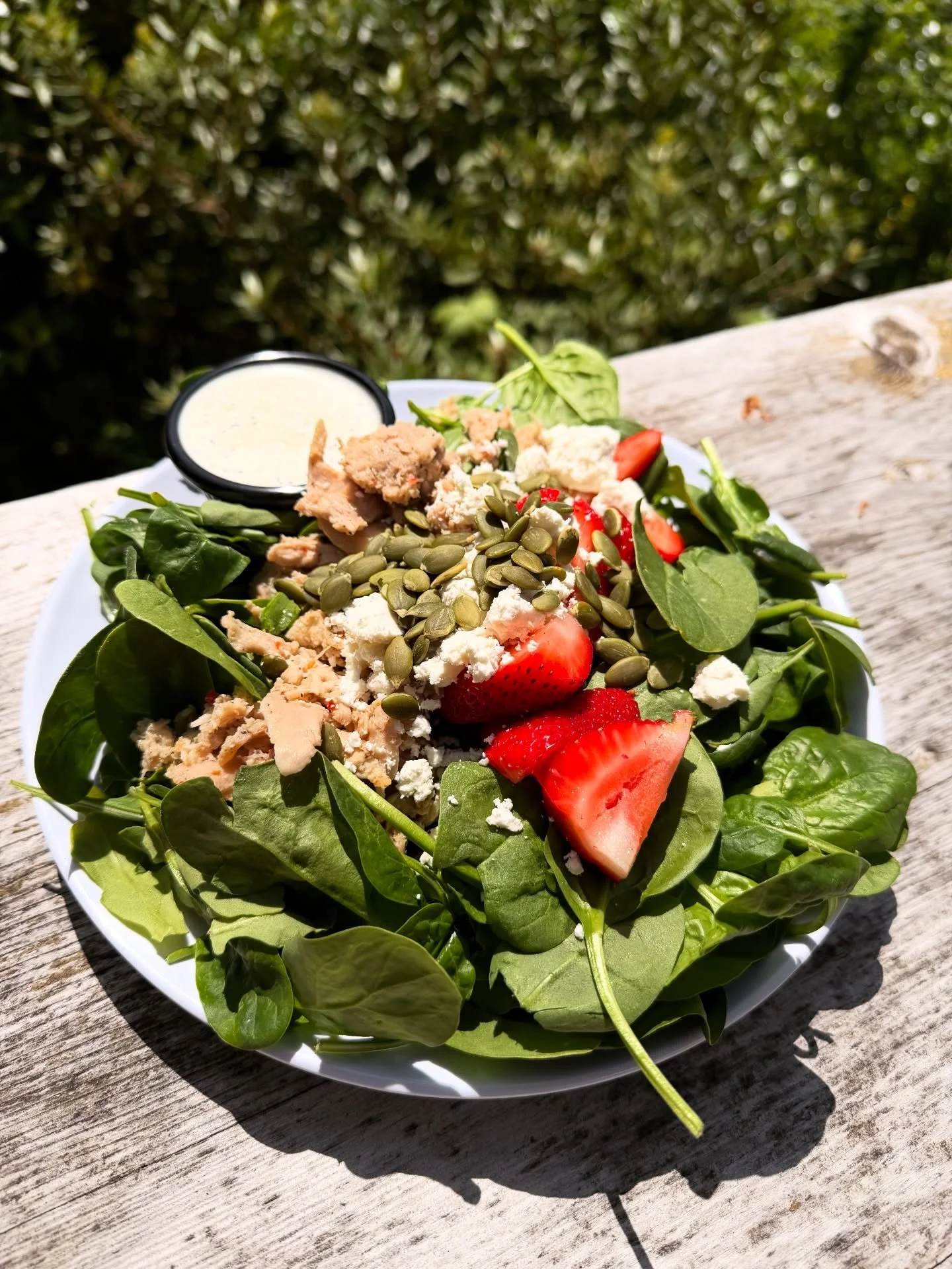 Pop up Food Specials✨

🍕Lost In the Woods Pizza- sourdough crust topped with red sauce, mushroom blend, Monterey Jack cheese, chili flakes and finished with citrus olive oil and bresaola. 

🥗Farmer&rsquo;s Market Salad- spinach, arugula, seasoned c