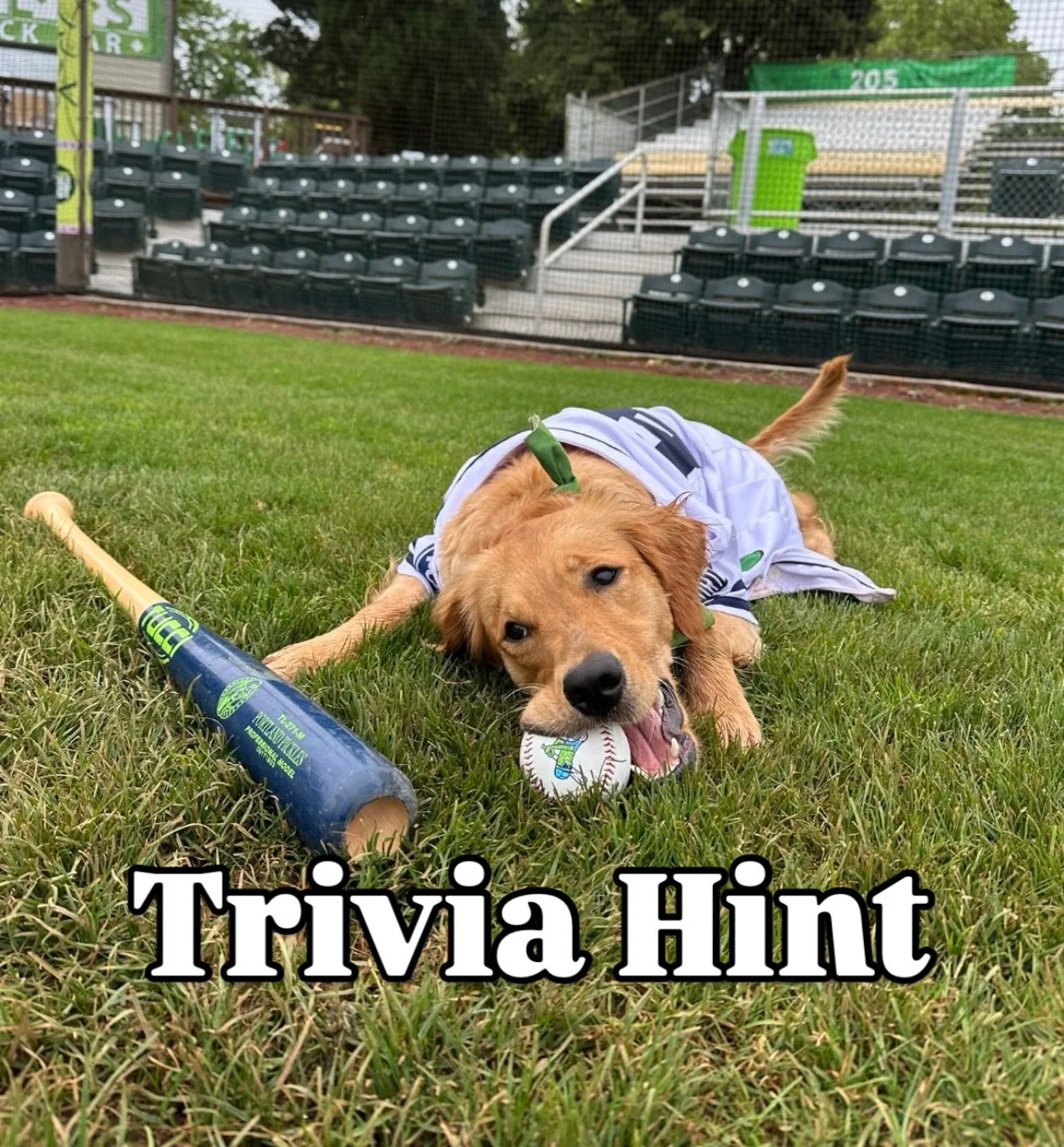 Wednesday Night Trivia is on tonight at 6 pm!  Join hosts Ben &amp; Kelsey and your team of up to six for four rounds of mind boggling questions. 

Tonight June 3rd and next Wednesday June 10th are the last two trivia nights before our hosts go on su
