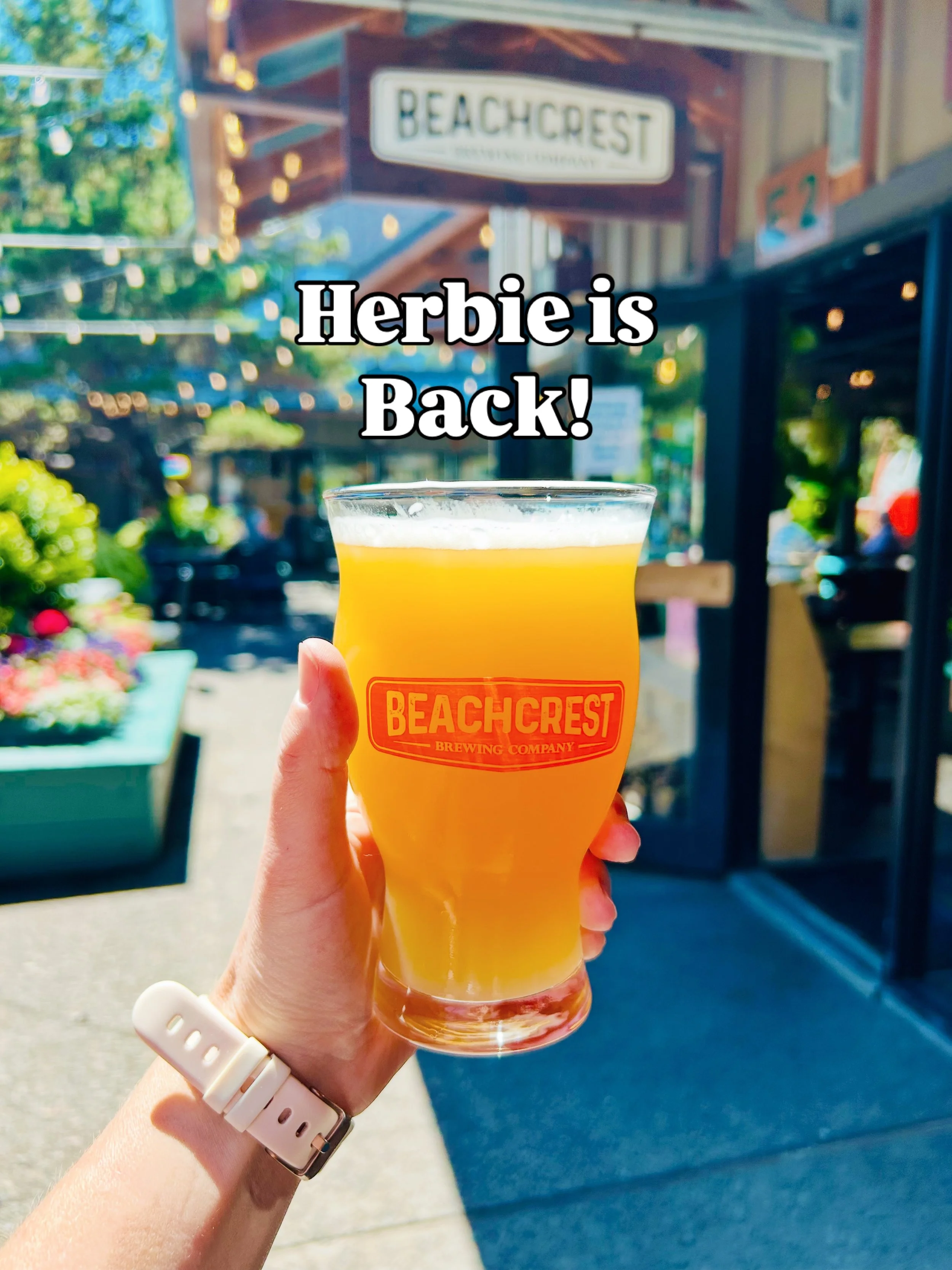 Herbie&rsquo;s Hazy Pale Ale is back!

Herbie&rsquo;s Hazy Pale Ale is a tribute to our beloved brew dog and all beach-loving pups. Bursting with bright citrus flavors and aromas, this light, sessionable ale sports a golden hue that radiates playful 