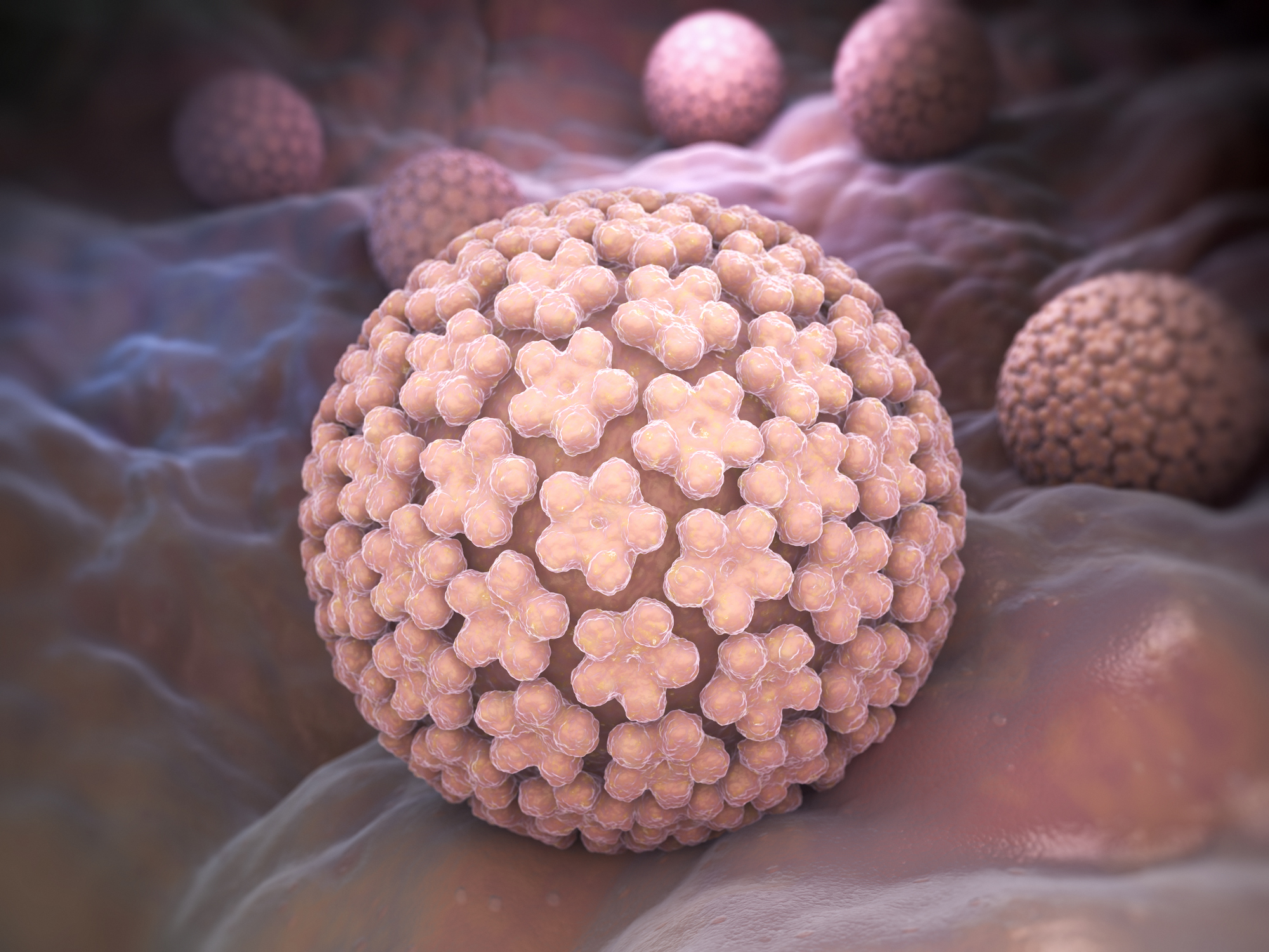 What kills a wart virus - What kills a wart virus, Virusul HPV - EduSEX