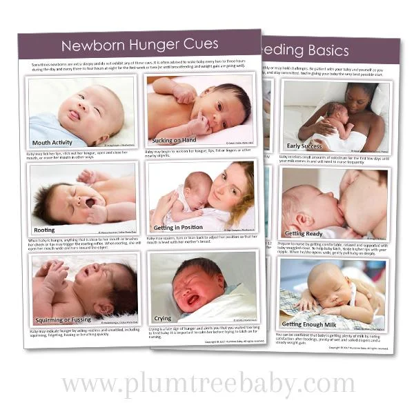 Hunger Cues Hungry Baby Formula At Night SMA Extra Hungry Infant