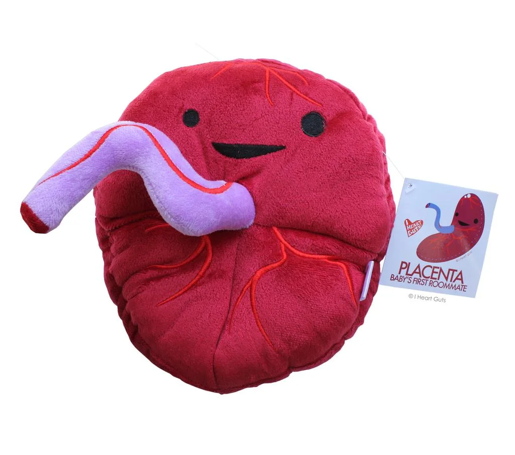 placenta2.jpg