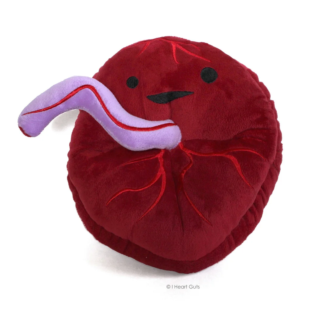 placenta1.jpg